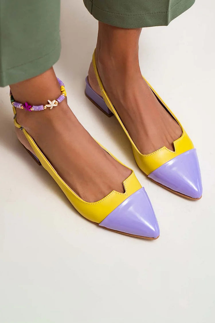 Pointed Ballet Flats