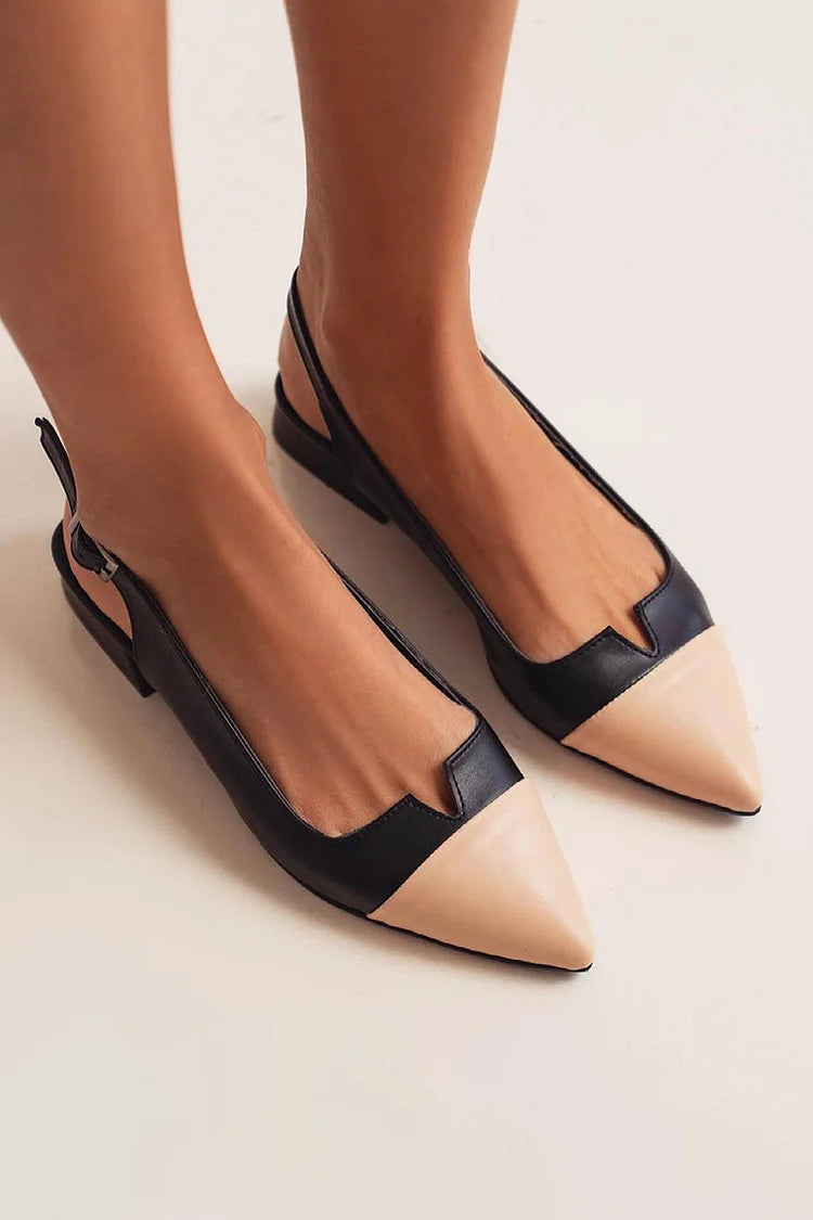 Pointed Ballet Flats